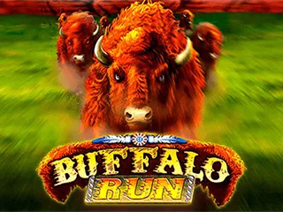 BuffaloRun