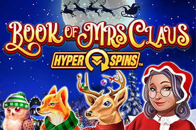 Book Of Mrs Claus