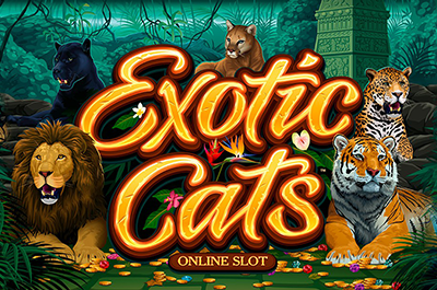 Exotic Cats